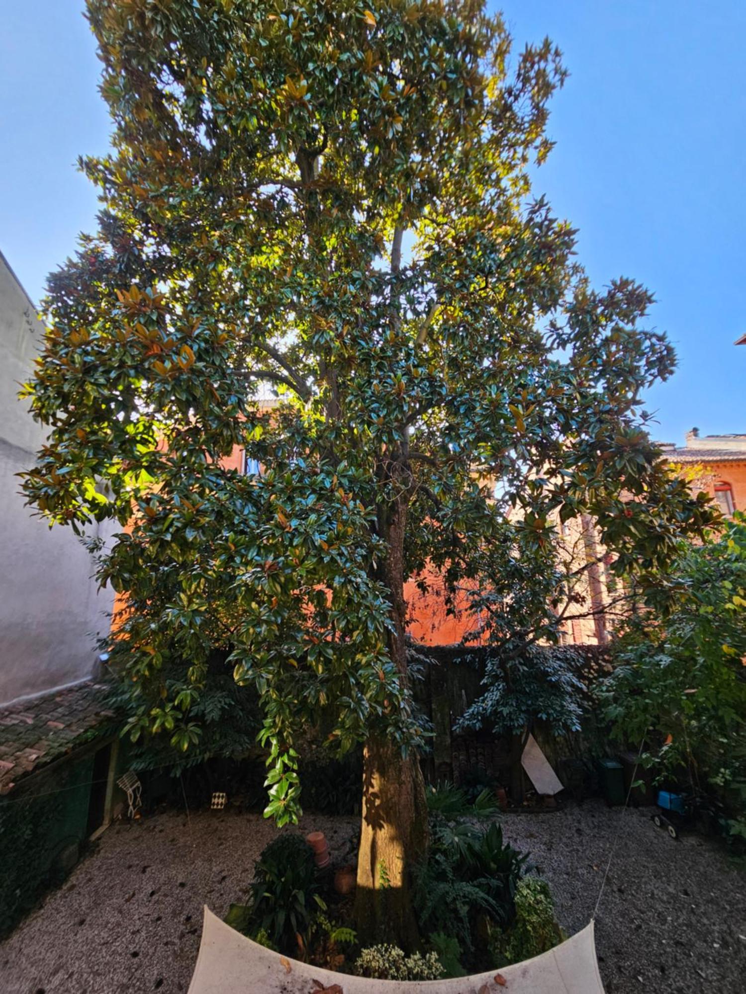 L'Ape Regina Apartman Ferrara Kültér fotó