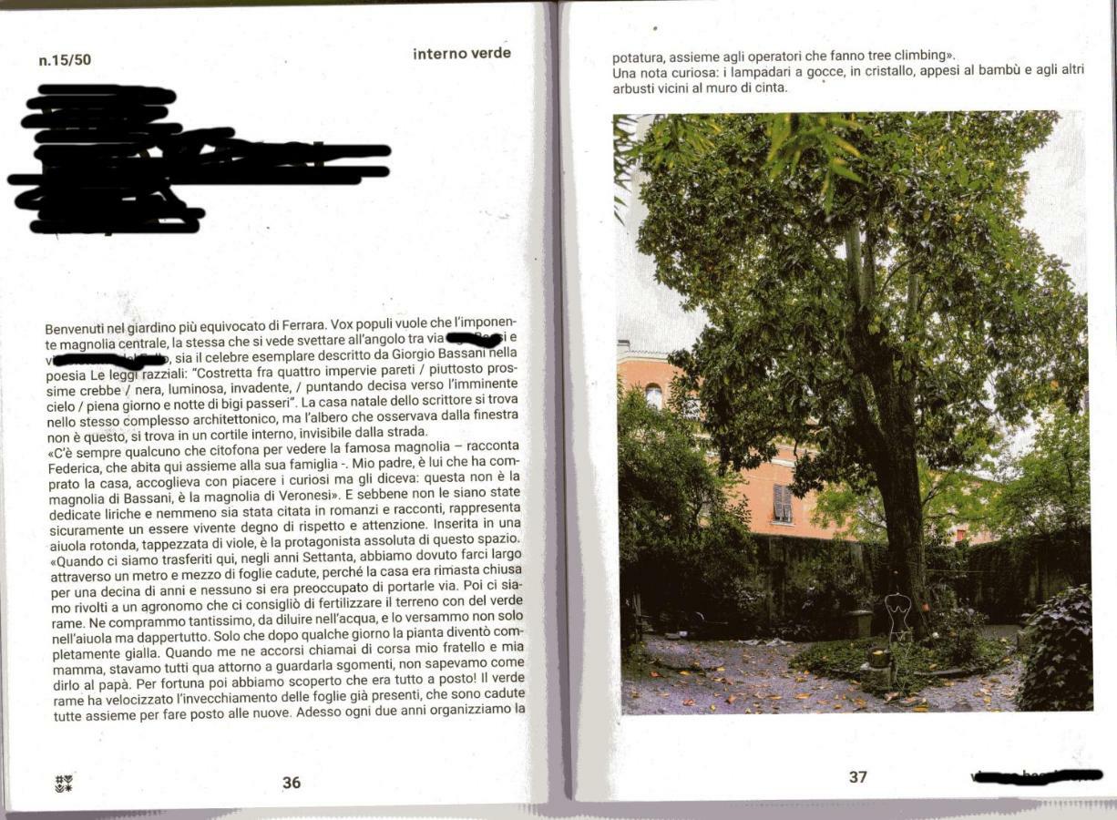 L'Ape Regina Apartman Ferrara Kültér fotó